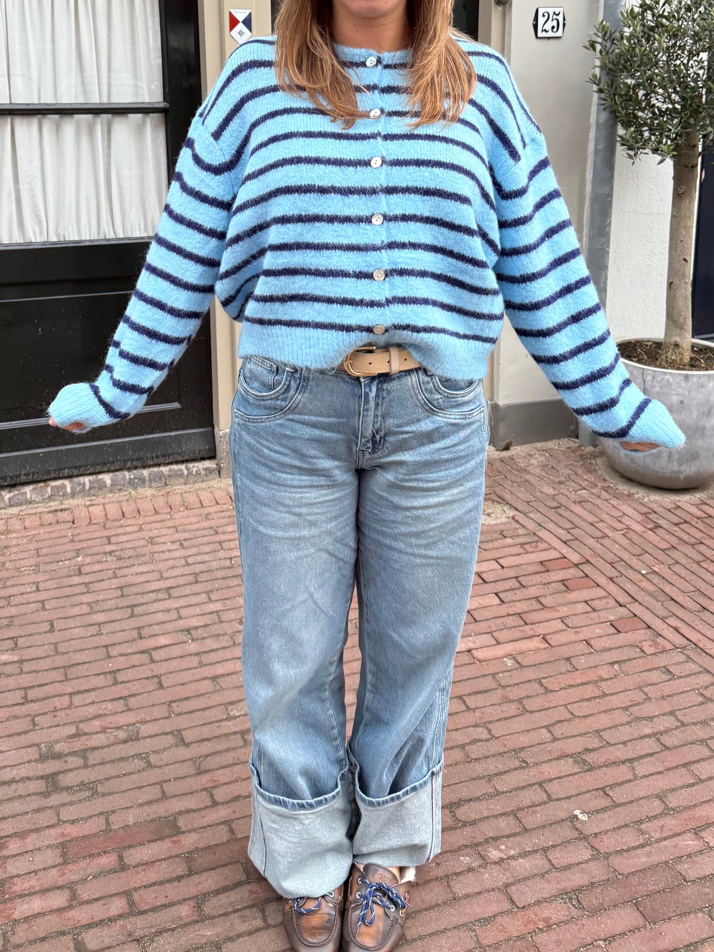 Ezra Knit Vest | Blauw