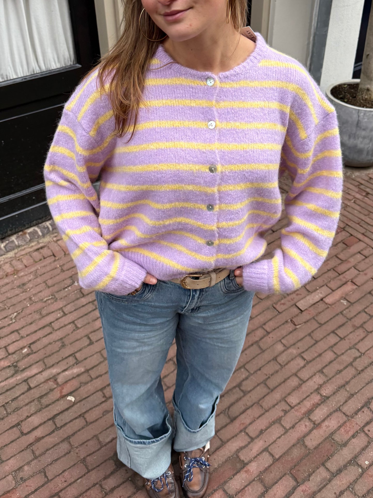 Ezra Knit Vest | Paars