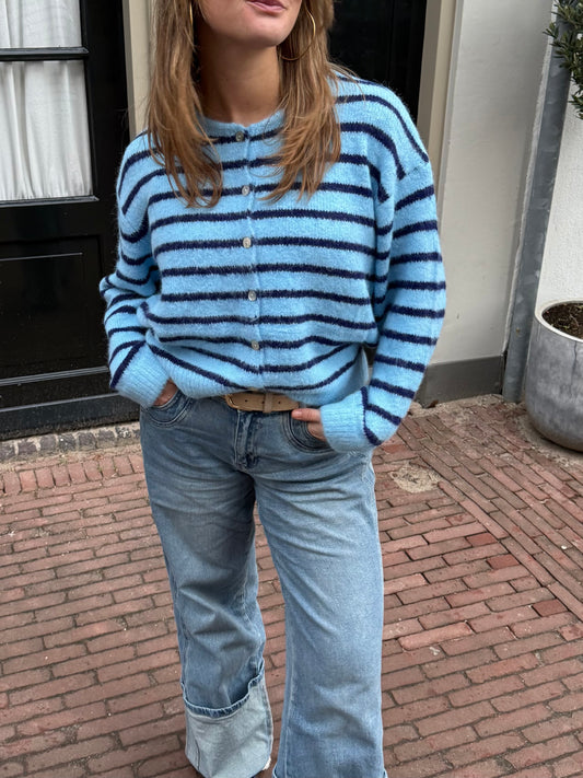 Ezra Knit Vest | Blauw