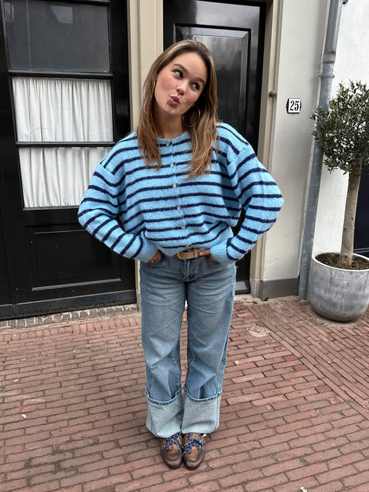 Ezra Knit Vest | Blauw