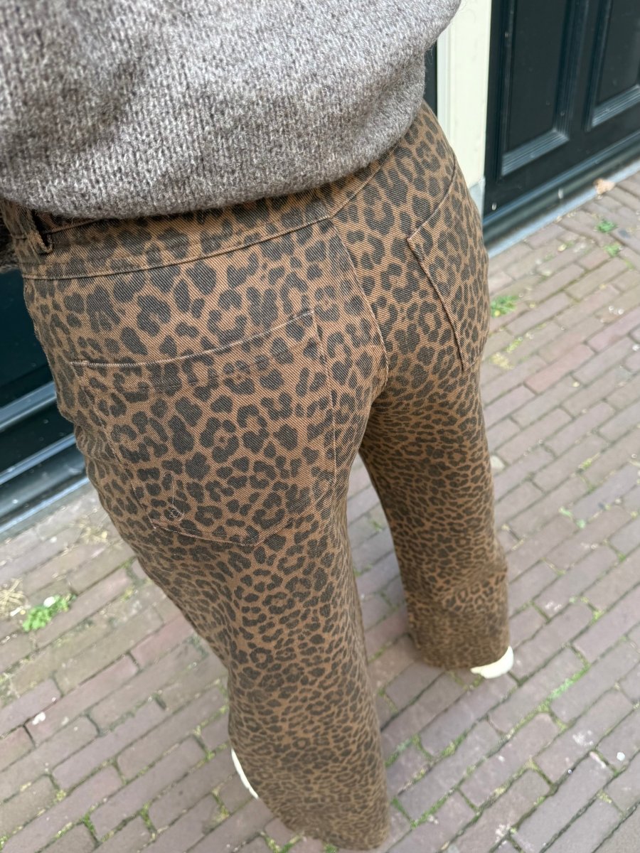 Carolien Jeans - Maison FAV