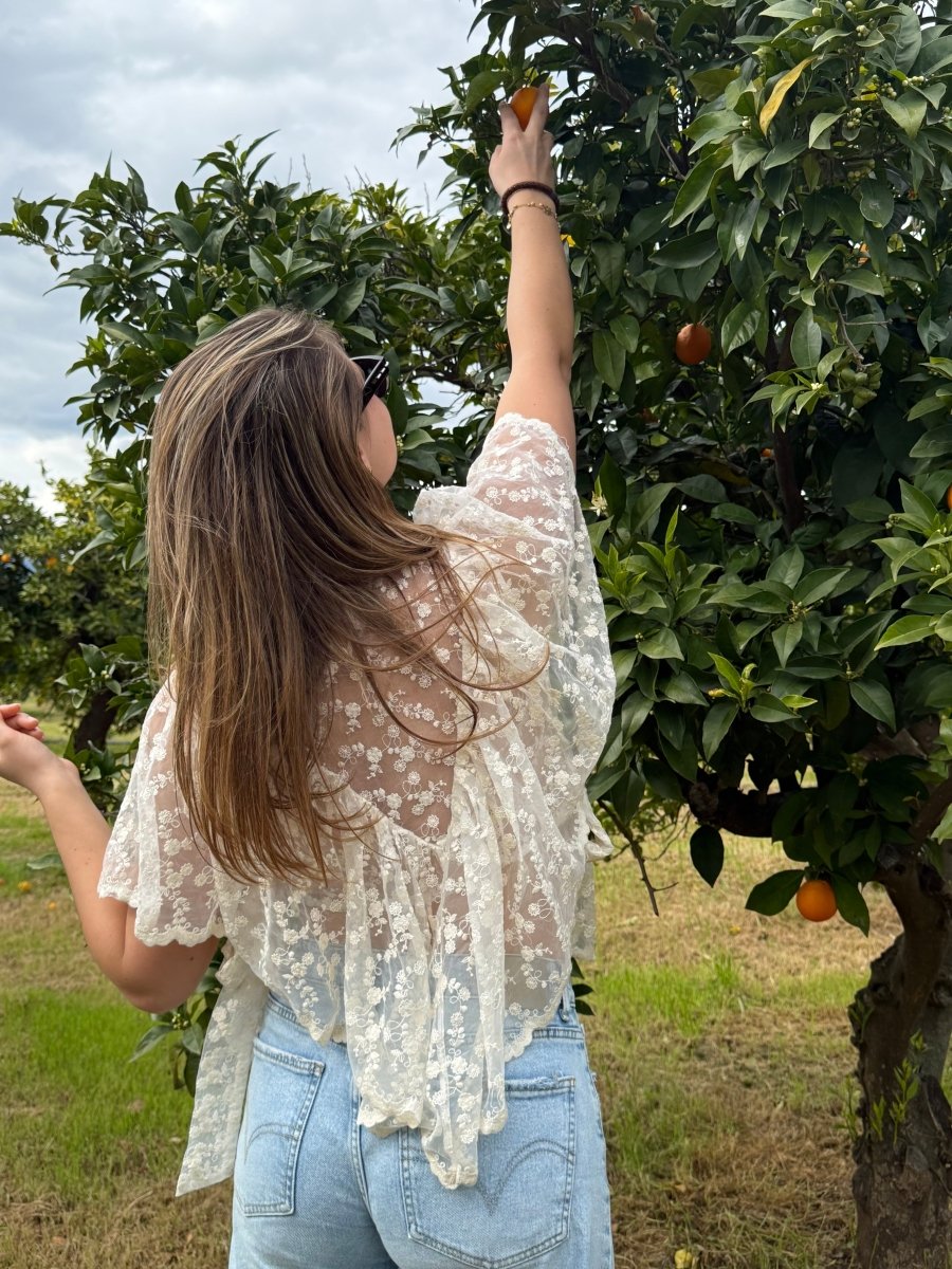 Sophia Lace Top - Maison FAV